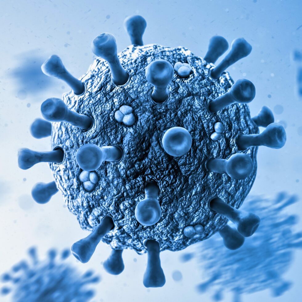 Das Epstein-Barr-Virus und das Immunsystem: Eine Verbindung zu Histamin?