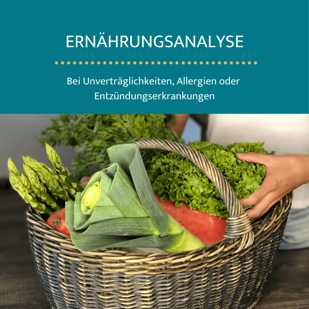 Ernährungsberatung Ernährungsanalyse
