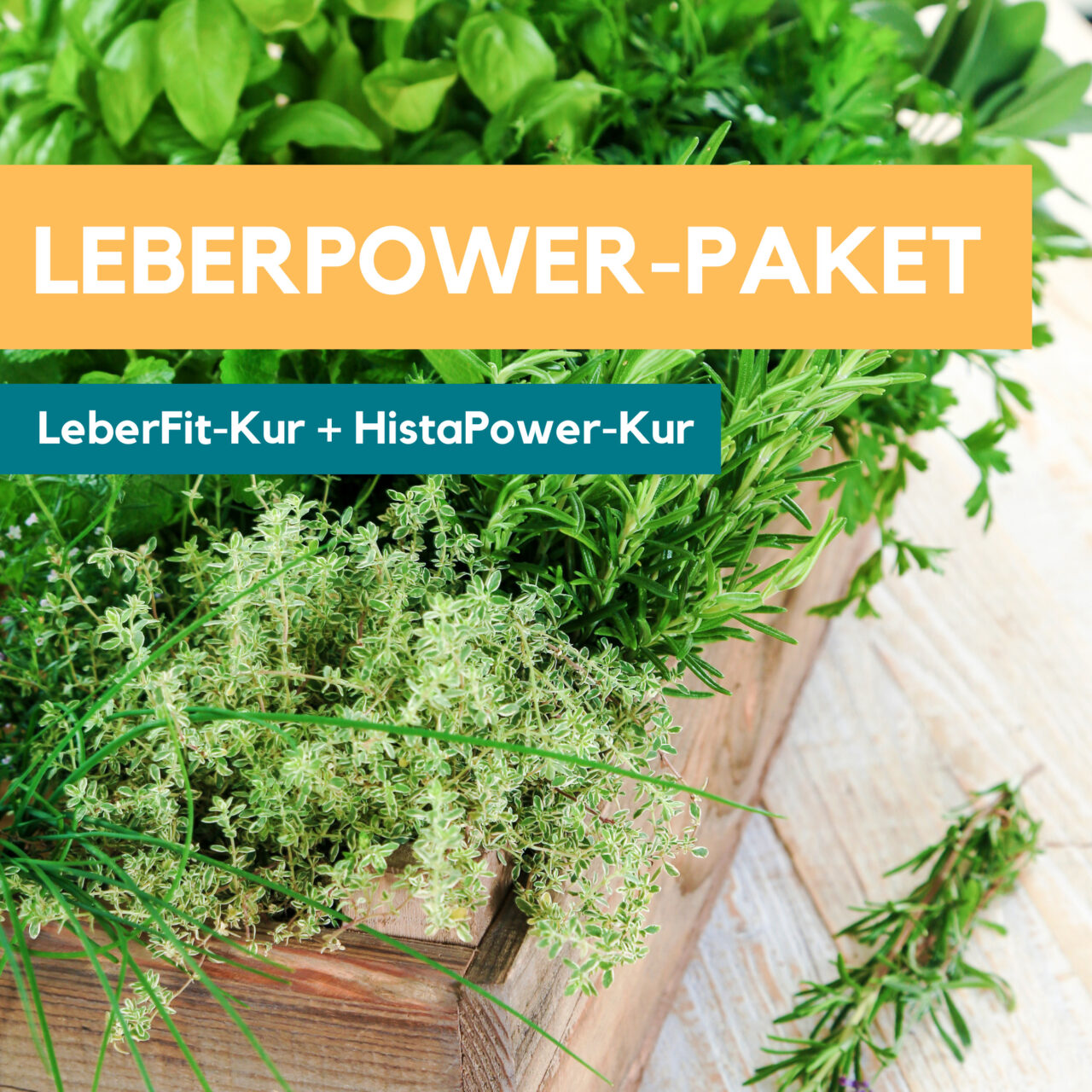 LeberPower-Paket Histamin
